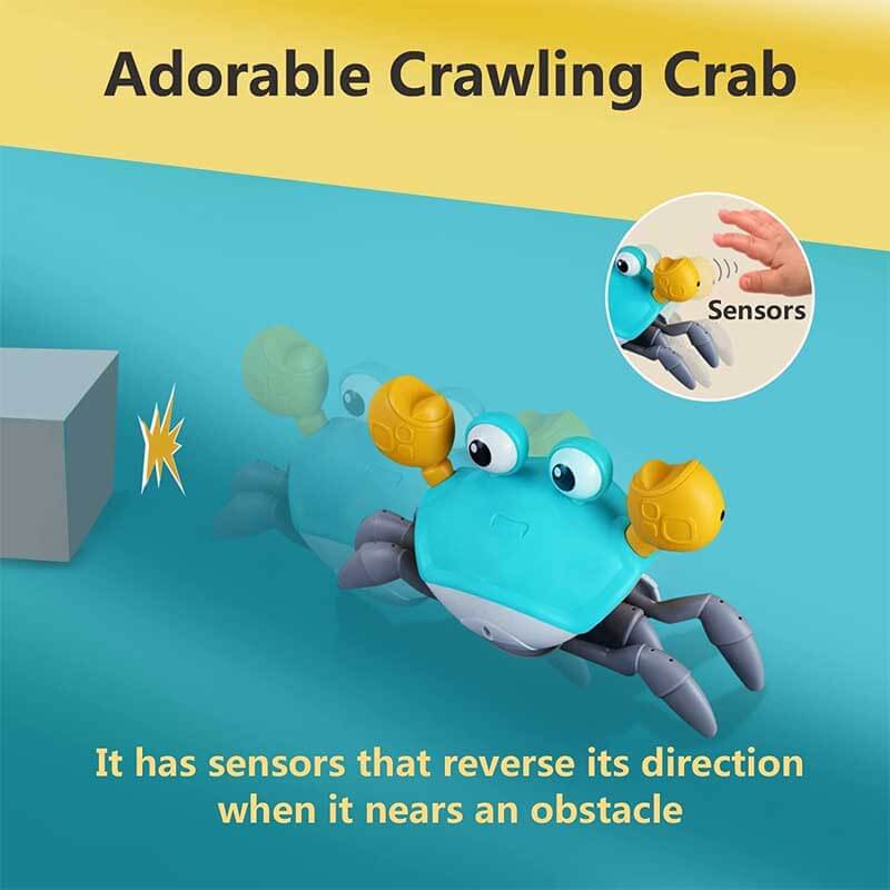 infant-interactive-crawling-crab-529231.jpg